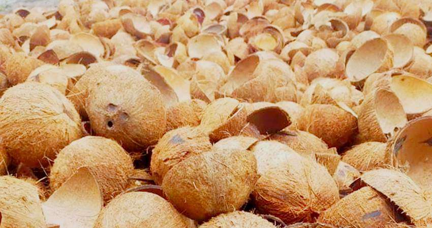 Natural waste to briquettes