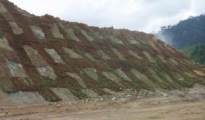 cocomesh sebagai solusi erosi tanah