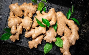 Peralatan Pengolahan Jahe Modern