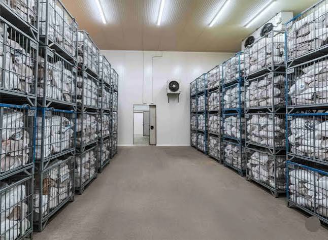 standar penyimpanan dalam cold storage